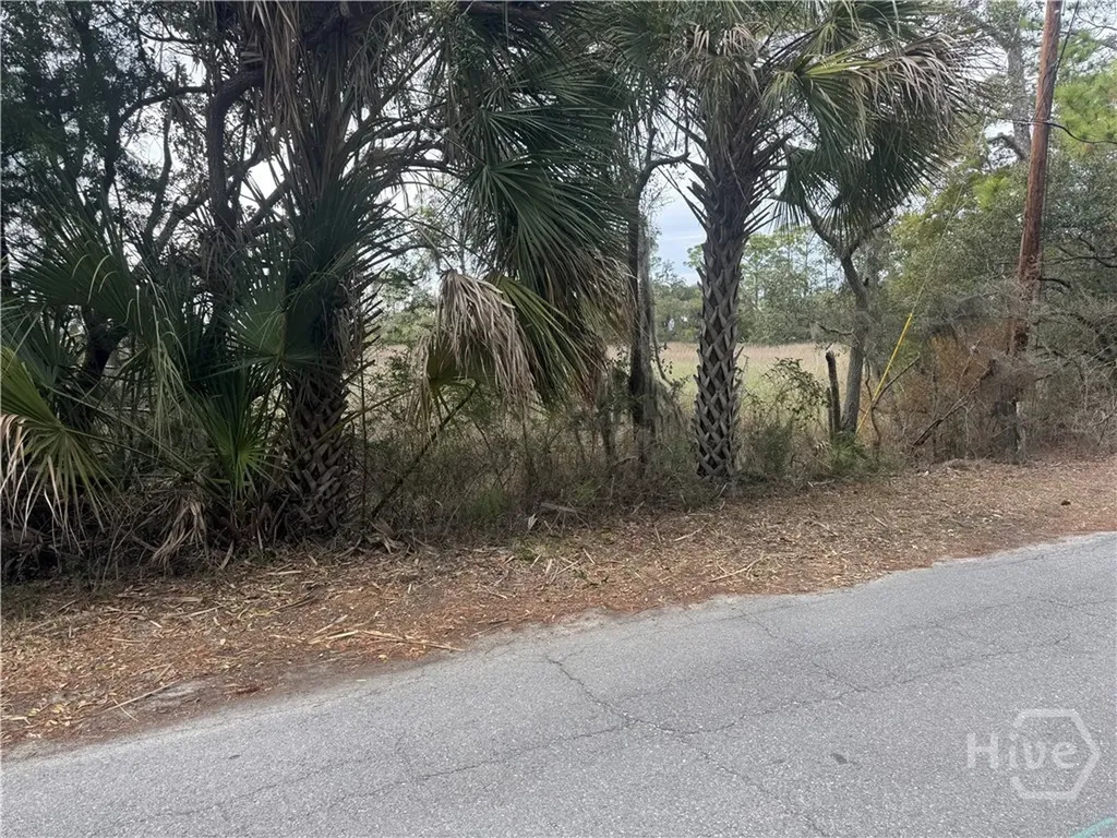 139 S Campbell Avenue Tybee Island GA 31328
