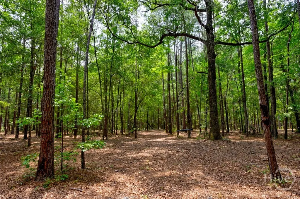 4000 Old River Road S Brooklet GA 30415