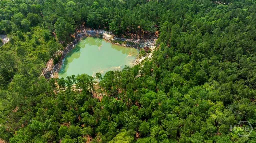 4000 Old River Road S Brooklet GA 30415
