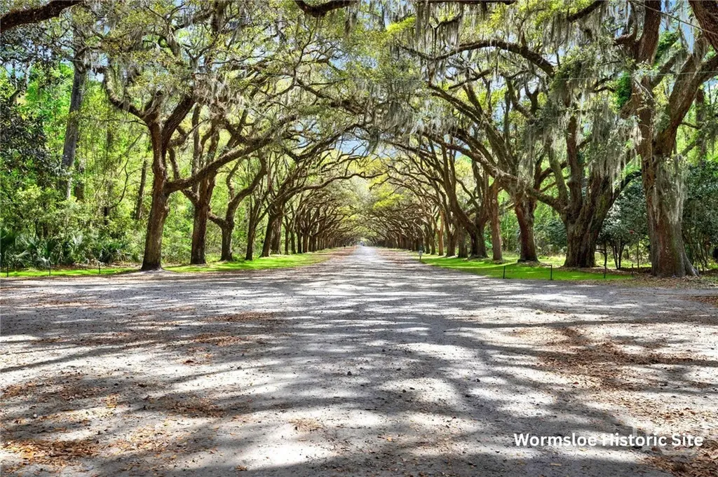 12 Fallowfield Drive Savannah GA 31406