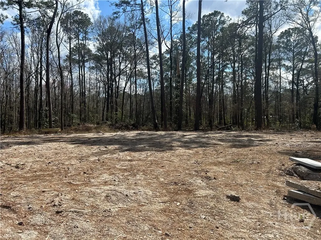 0 Little Mccall Road Rincon GA 31326