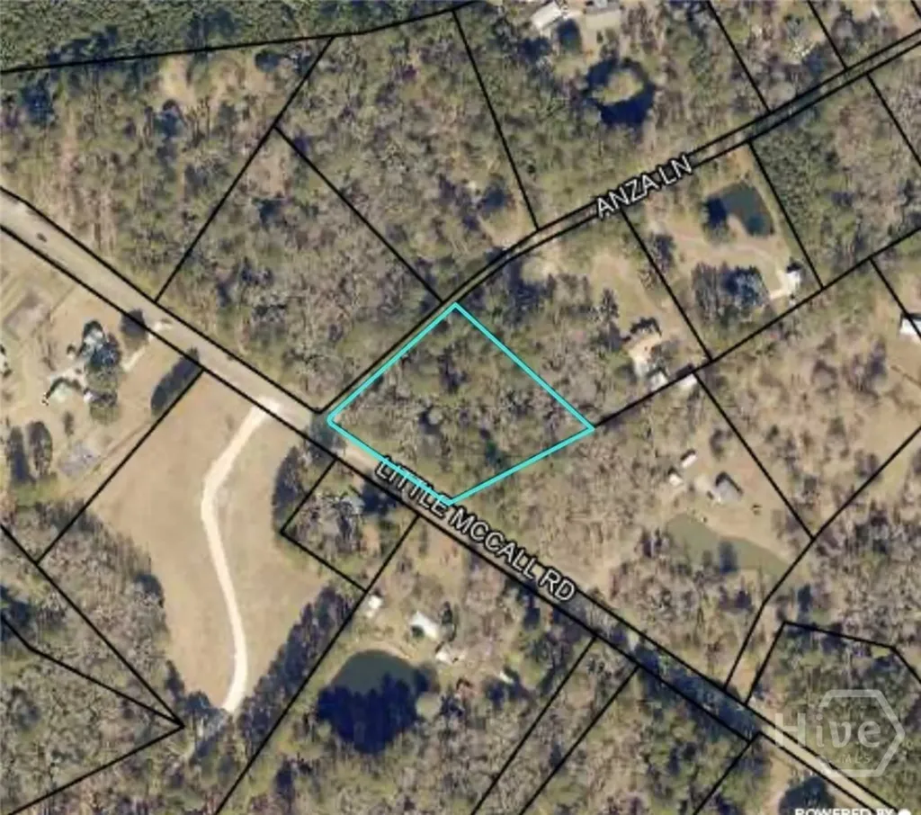 0 Little Mccall Road Rincon GA 31326