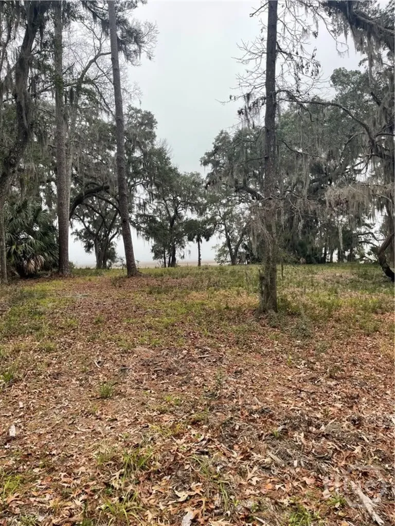 2050 Belle Hammock Road NE Townsend GA 31331