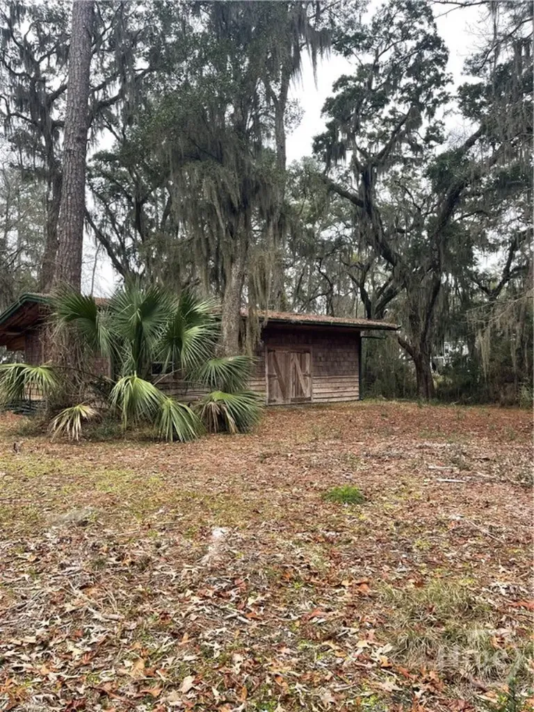 2050 Belle Hammock Road NE Townsend GA 31331