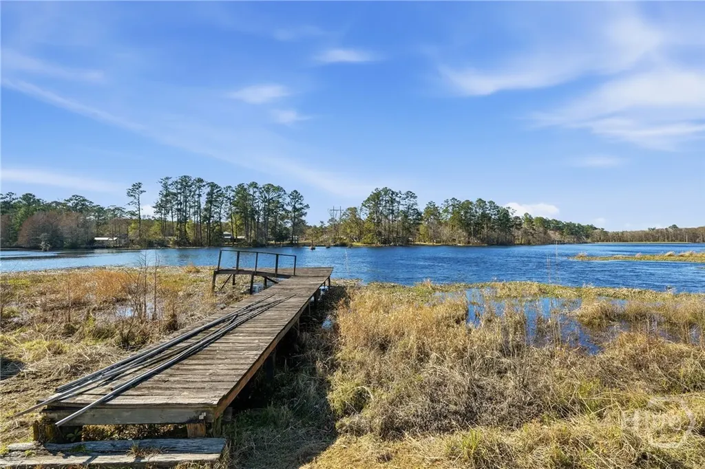 58 Pine Ridge Court Ellabell GA 31308