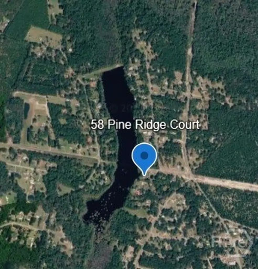 58 Pine Ridge Court Ellabell GA 31308