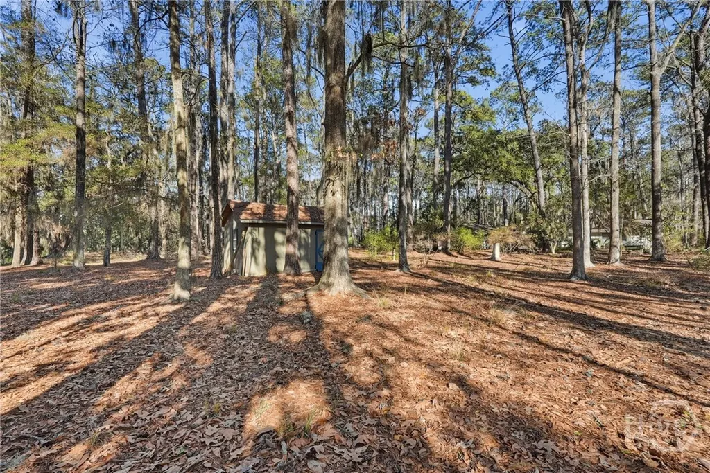501 Wau Bun Drive Savannah GA 31419
