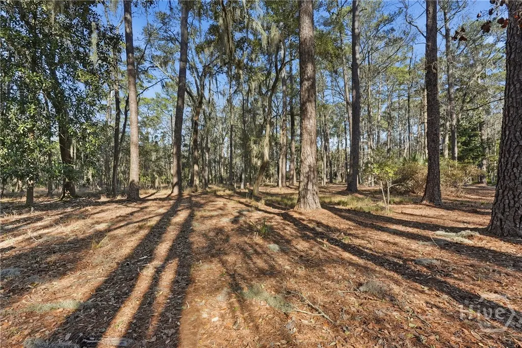 501 Wau Bun Drive Savannah GA 31419