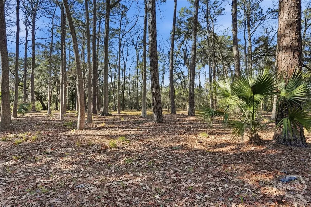 501 Wau Bun Drive Savannah GA 31419