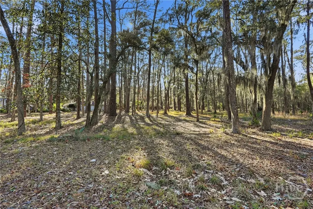 501 Wau Bun Drive Savannah GA 31419