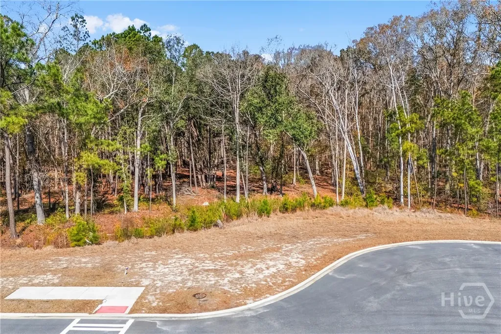 154 Wood Haven Lane Pooler GA 31322