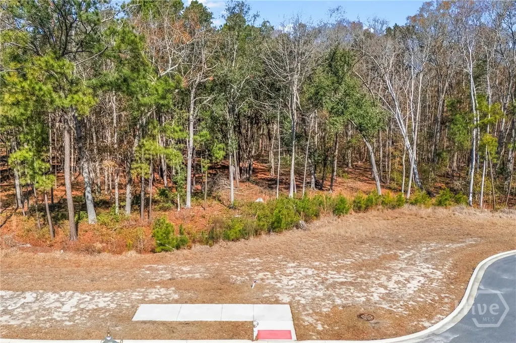 154 Wood Haven Lane Pooler GA 31322