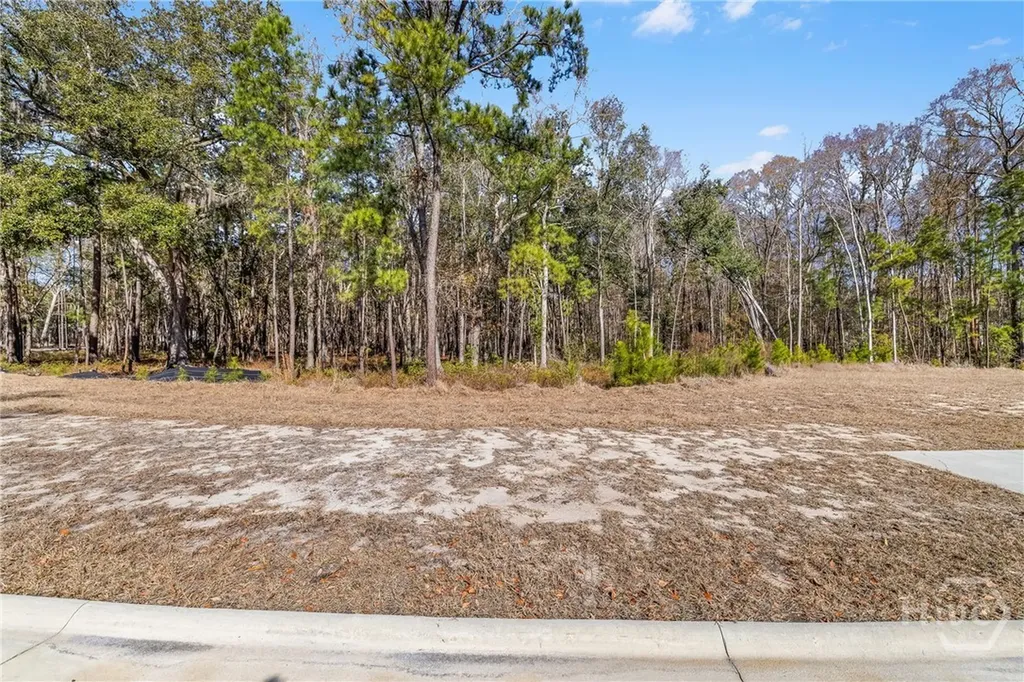 154 Wood Haven Lane Pooler GA 31322