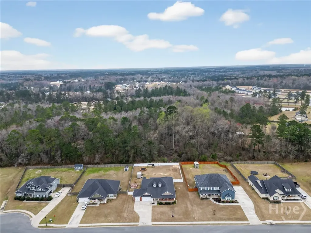 356 Palmer Place Lane NE Ludowici GA 31316