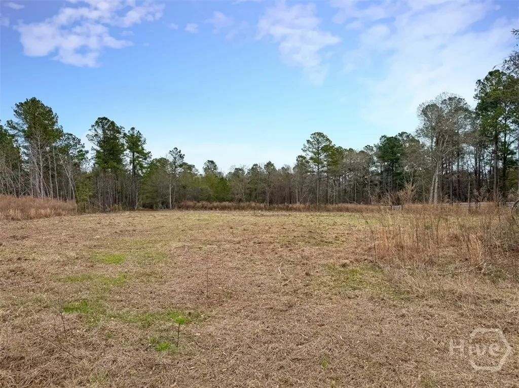 01 Industrial Park Road Sylvania GA 30467