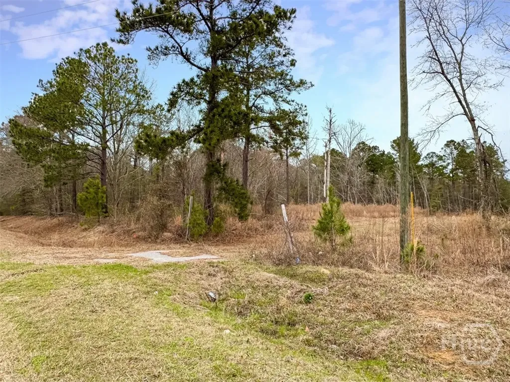 01 Industrial Park Road Sylvania GA 30467