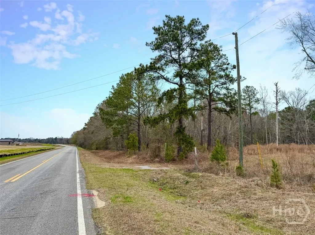01 Industrial Park Road Sylvania GA 30467
