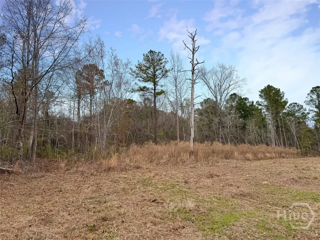 01 Industrial Park Road Sylvania GA 30467