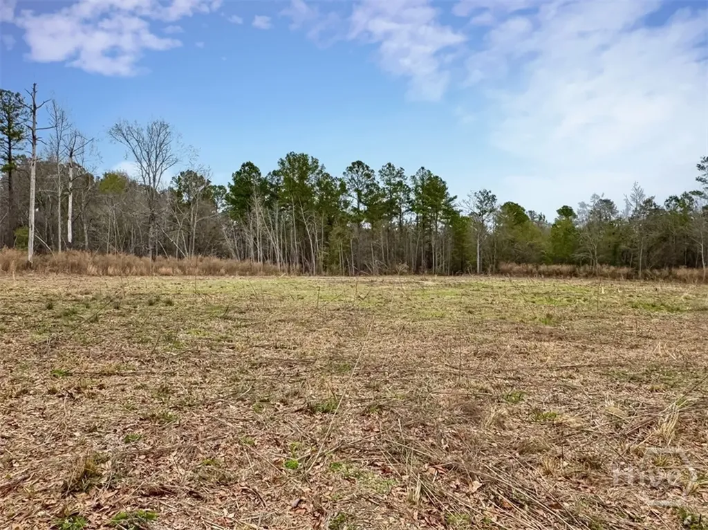 01 Industrial Park Road Sylvania GA 30467
