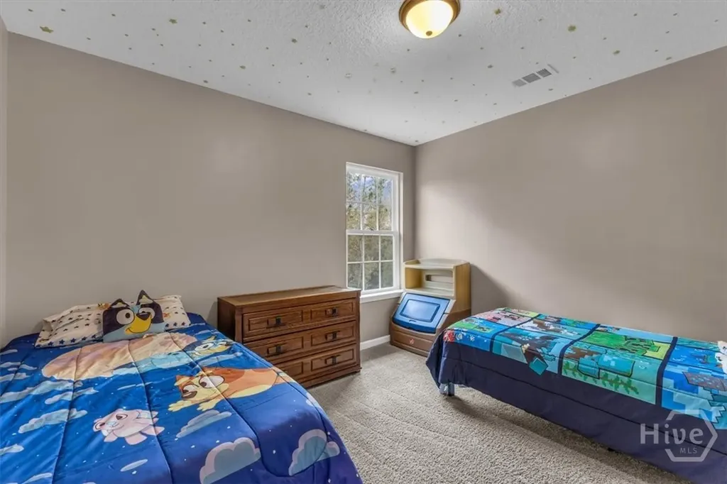 470 Summerhill Drive NE Ludowici GA 31316