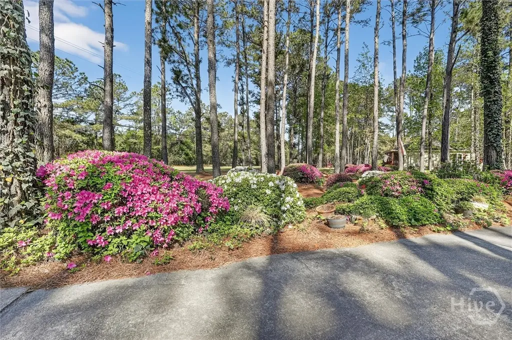1460 Little Neck Road Savannah GA 31419