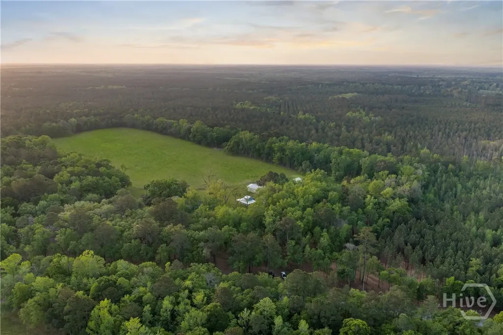 1151 Harry Lindsay Road Guyton GA 31312