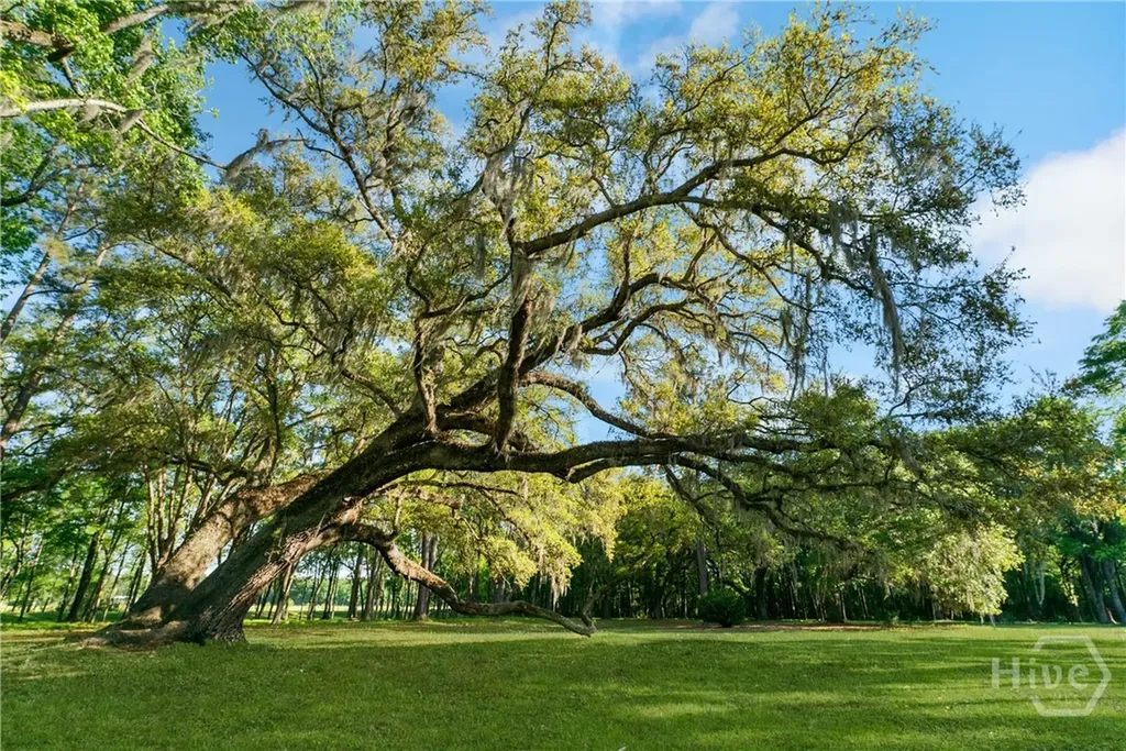 1151 Harry Lindsay Road Guyton GA 31312