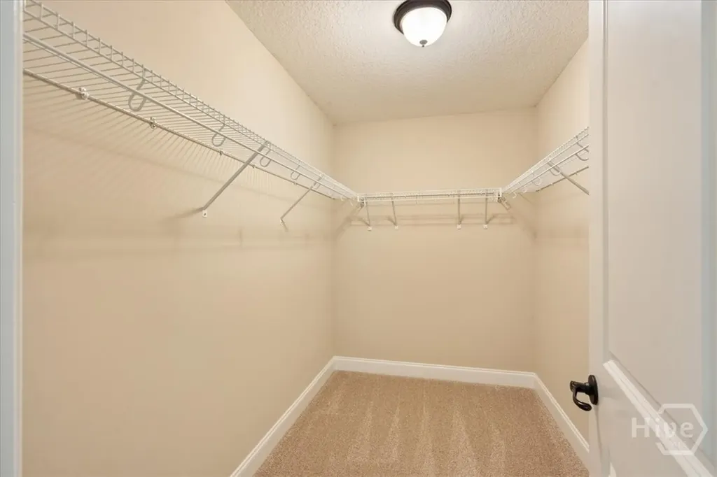 120 Ridgewood Park Court Richmond Hill GA 31324