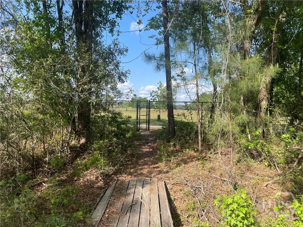 589 Old Mill Creek Road Ellabell GA 31308