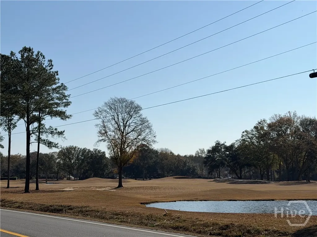 589 Old Mill Creek Road Ellabell GA 31308