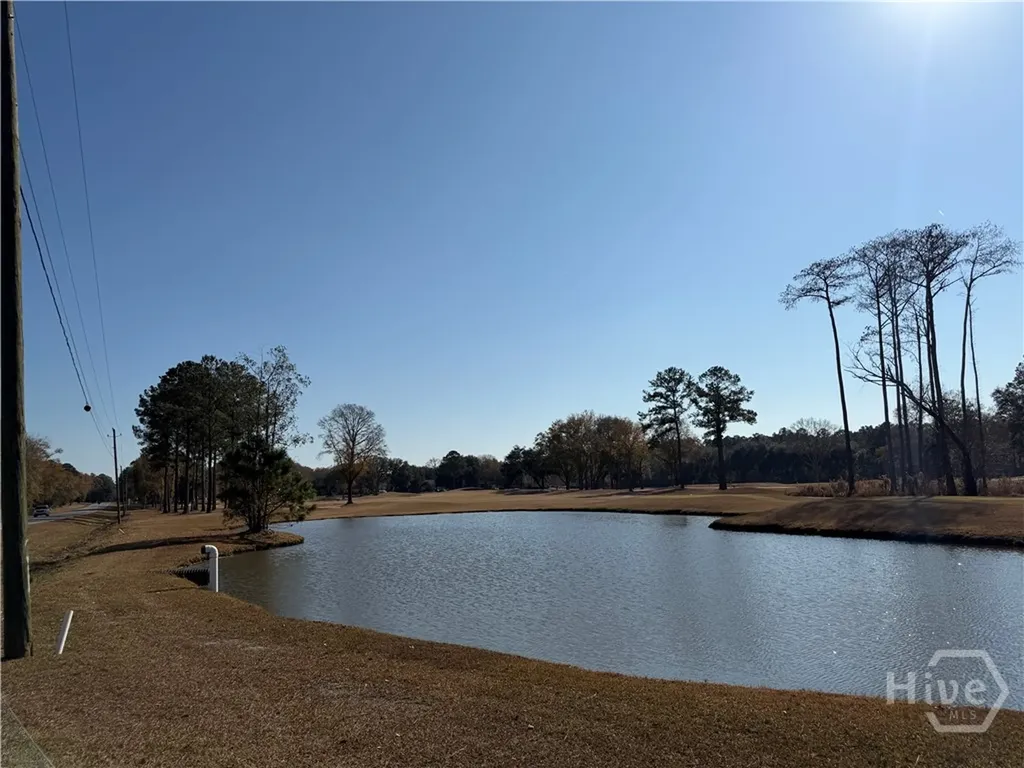 589 Old Mill Creek Road Ellabell GA 31308