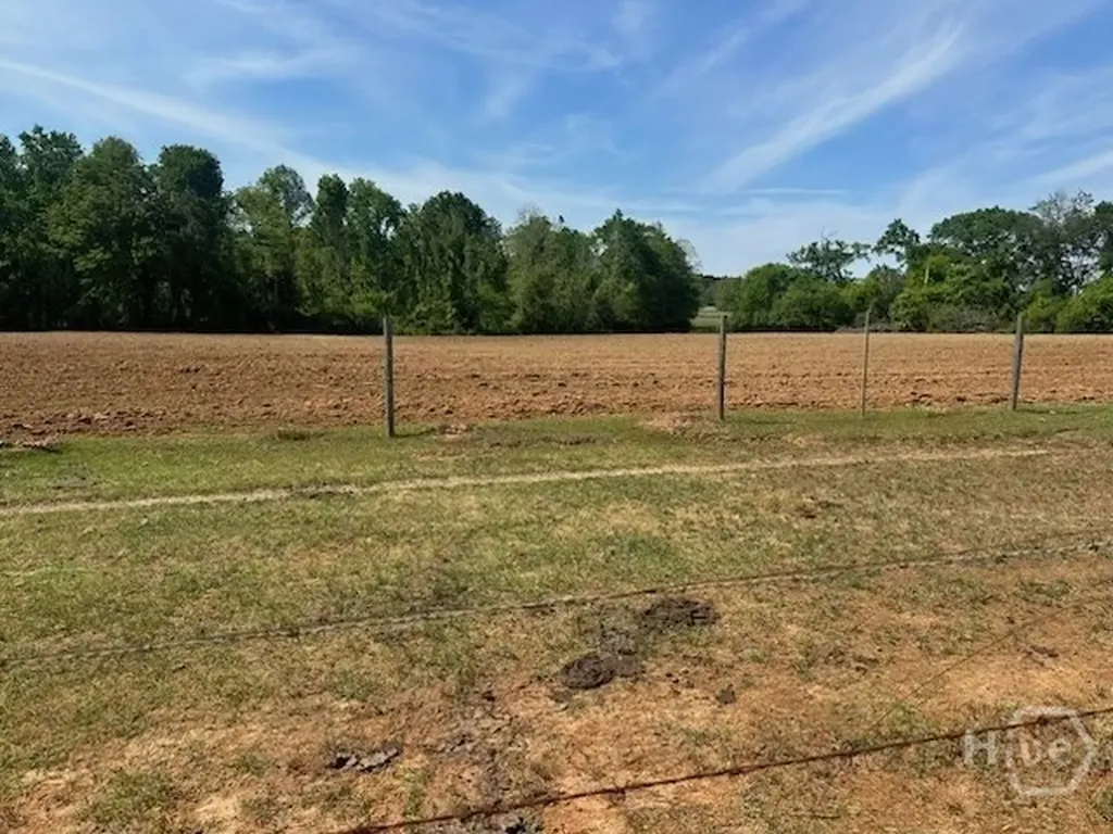 2905 Donald Cobb Road Bartow GA 30413