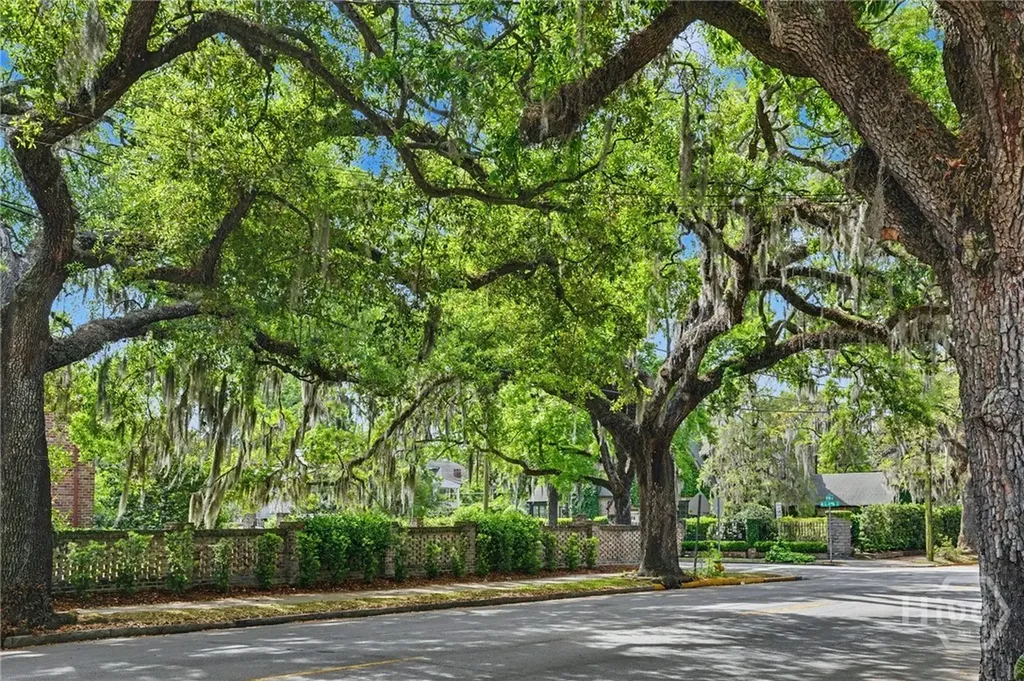 3211 Bull Street Savannah GA 31405