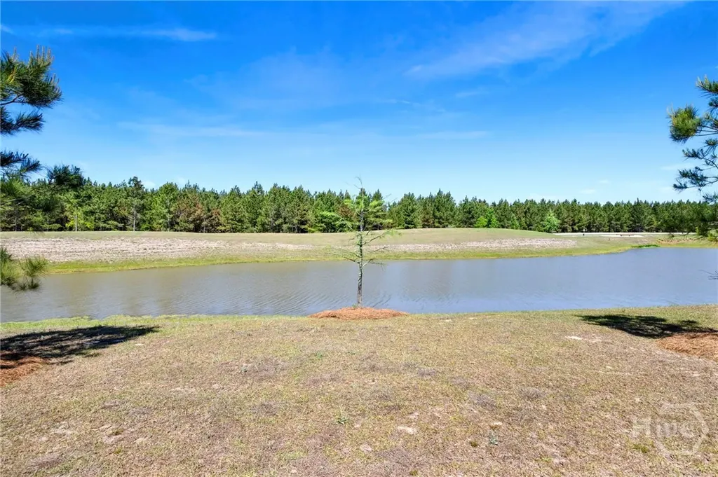 815 Longleaf Drive Richmond Hill GA 31324