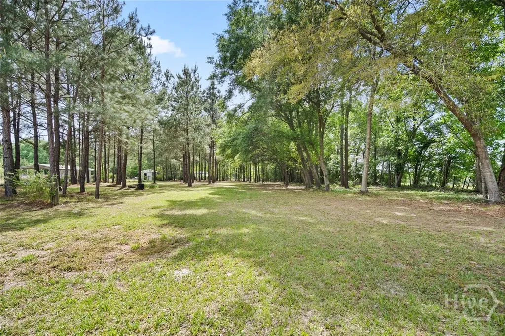 887 Log Landing Road Springfield GA 31329