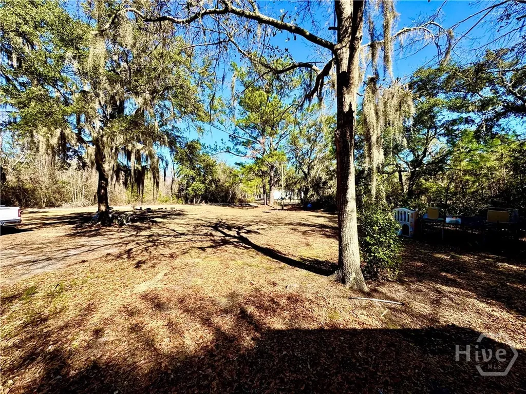 49 Clem Road Midway GA 31320