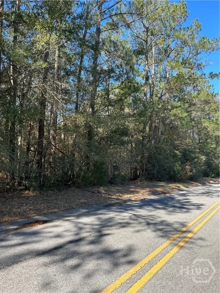 Lot 4 Palm Island Drive Midway GA 31320