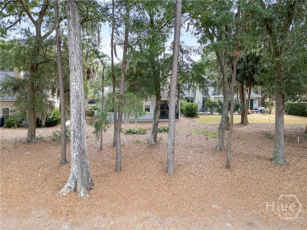 4 Osprey Court Savannah GA 31411