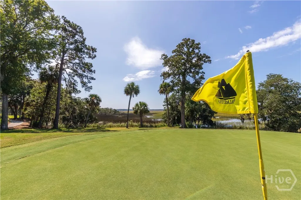 4 Osprey Court Savannah GA 31411