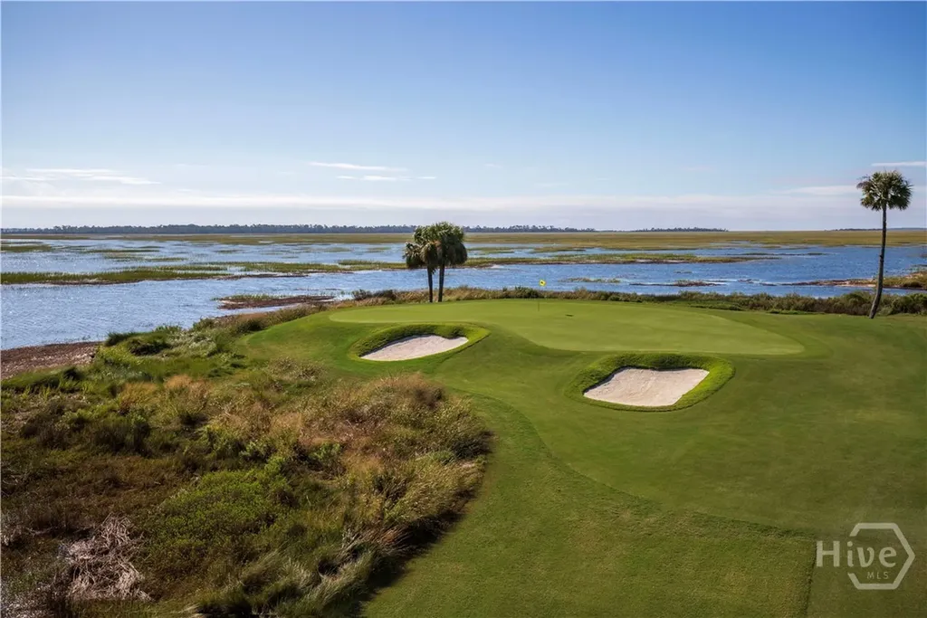 4 Osprey Court Savannah GA 31411