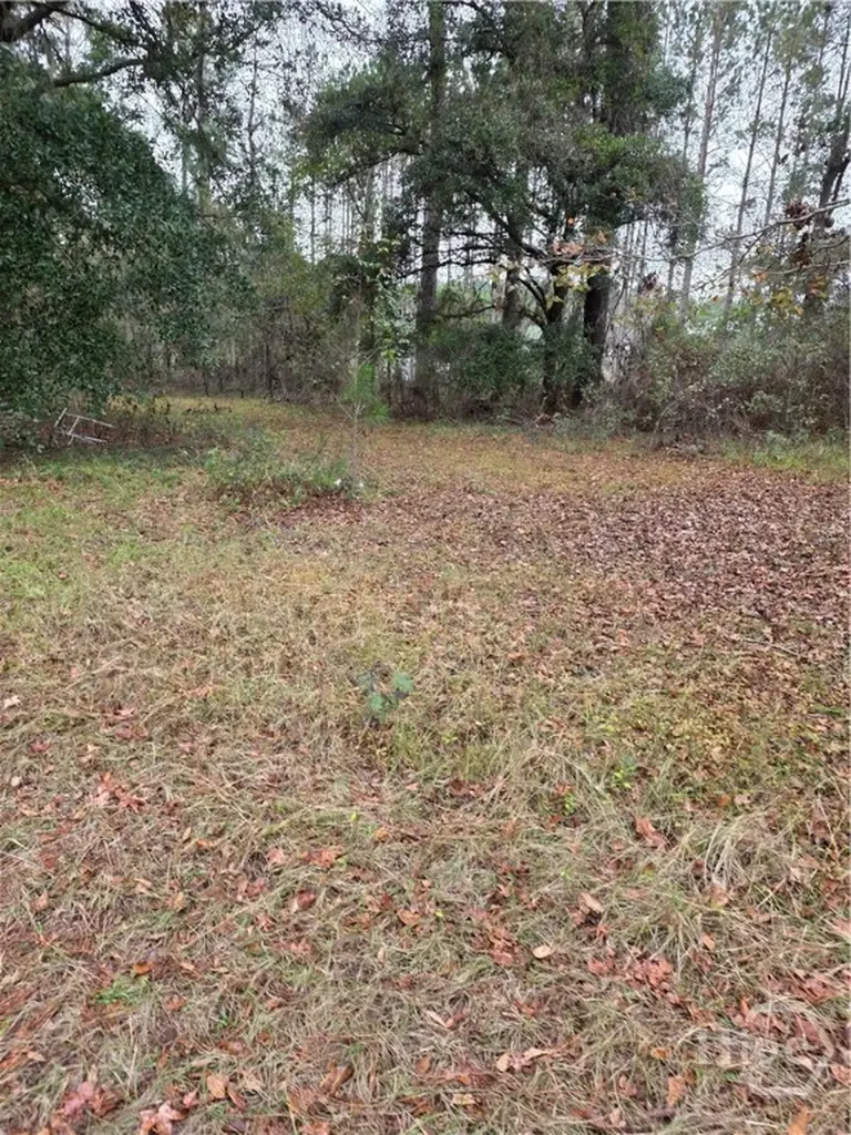 861 Brinson Road Brooklet GA 30415