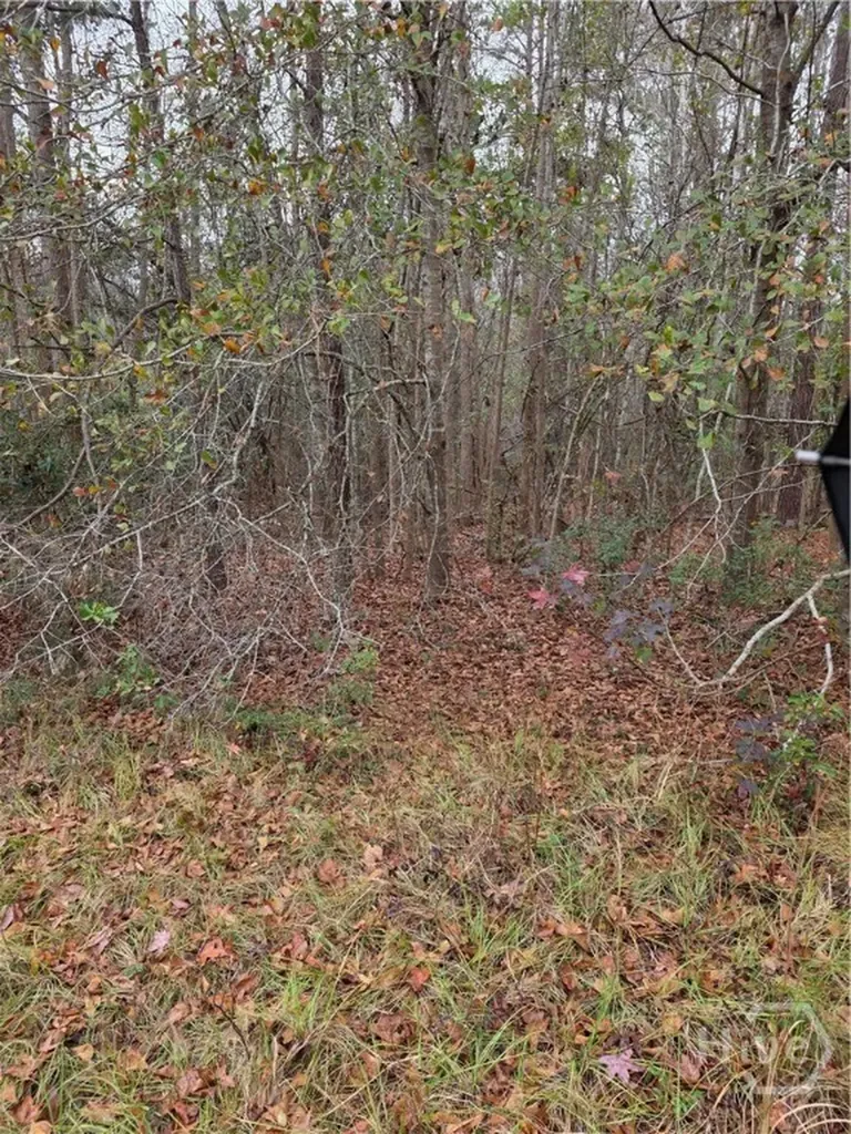 861 Brinson Road Brooklet GA 30415