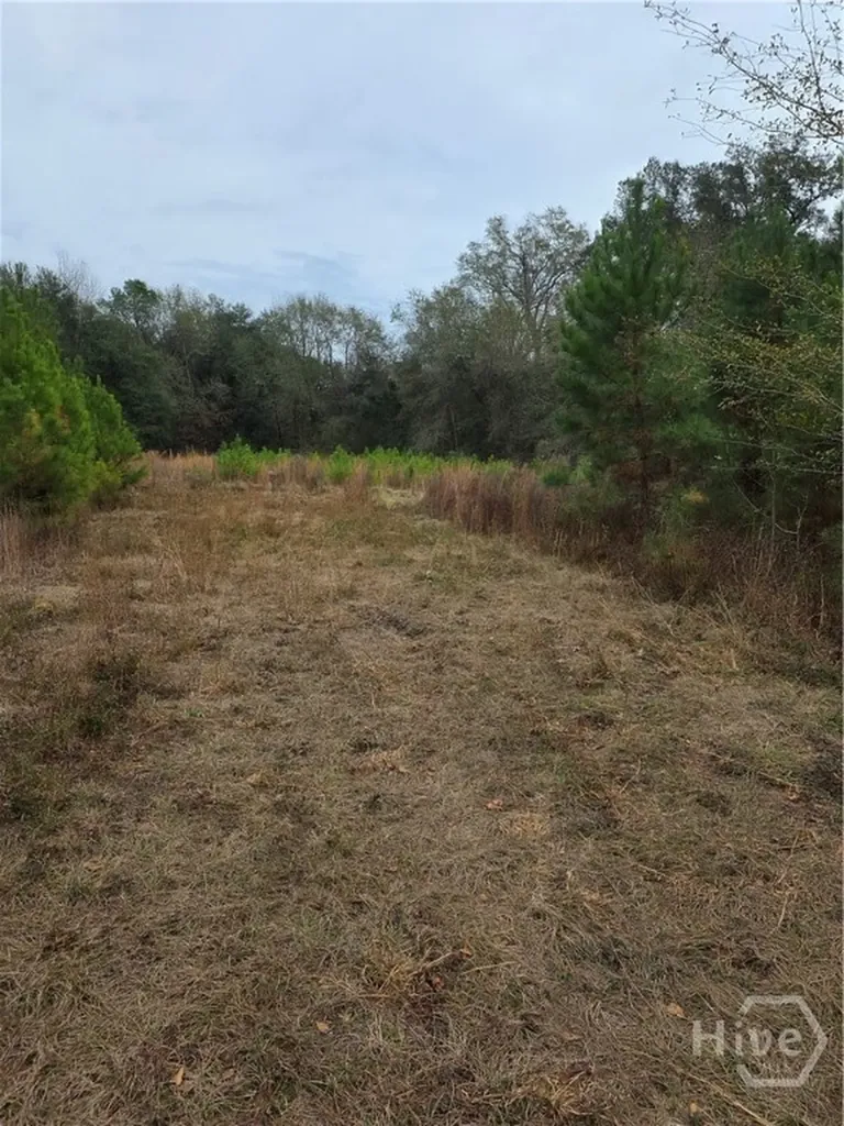 861 Brinson Road Brooklet GA 30415