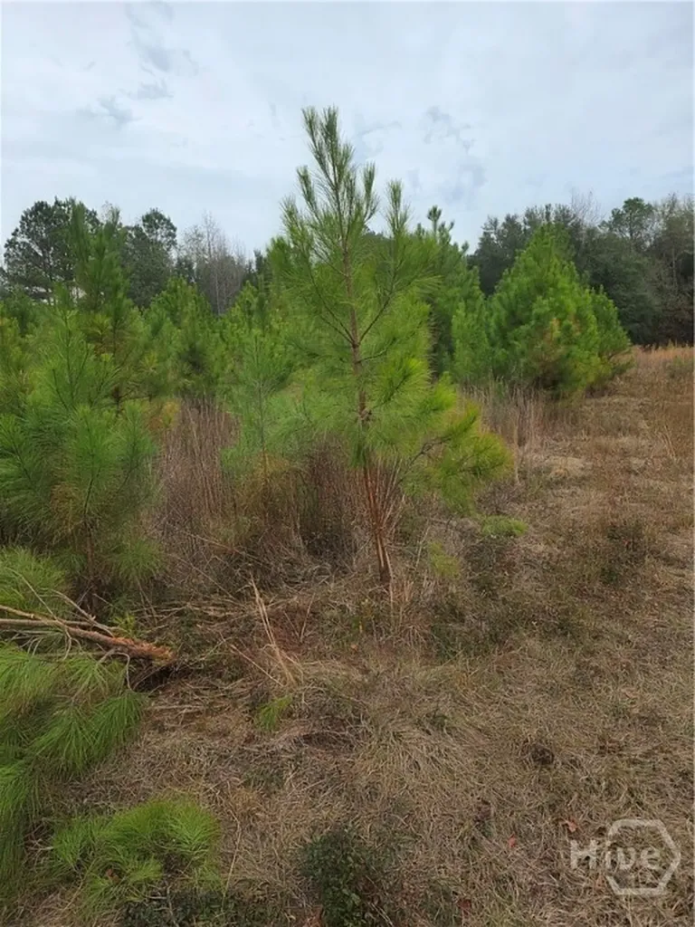 861 Brinson Road Brooklet GA 30415