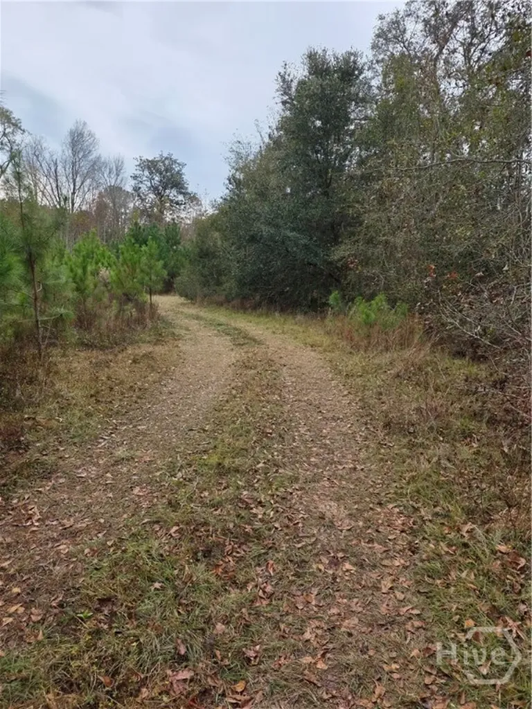 861 Brinson Road Brooklet GA 30415