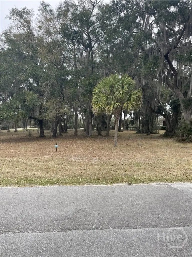 Lot 16/17 Marshview Drive NE Townsend GA 31331