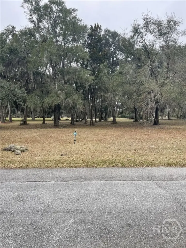 Lot 16/17 Marshview Drive NE Townsend GA 31331