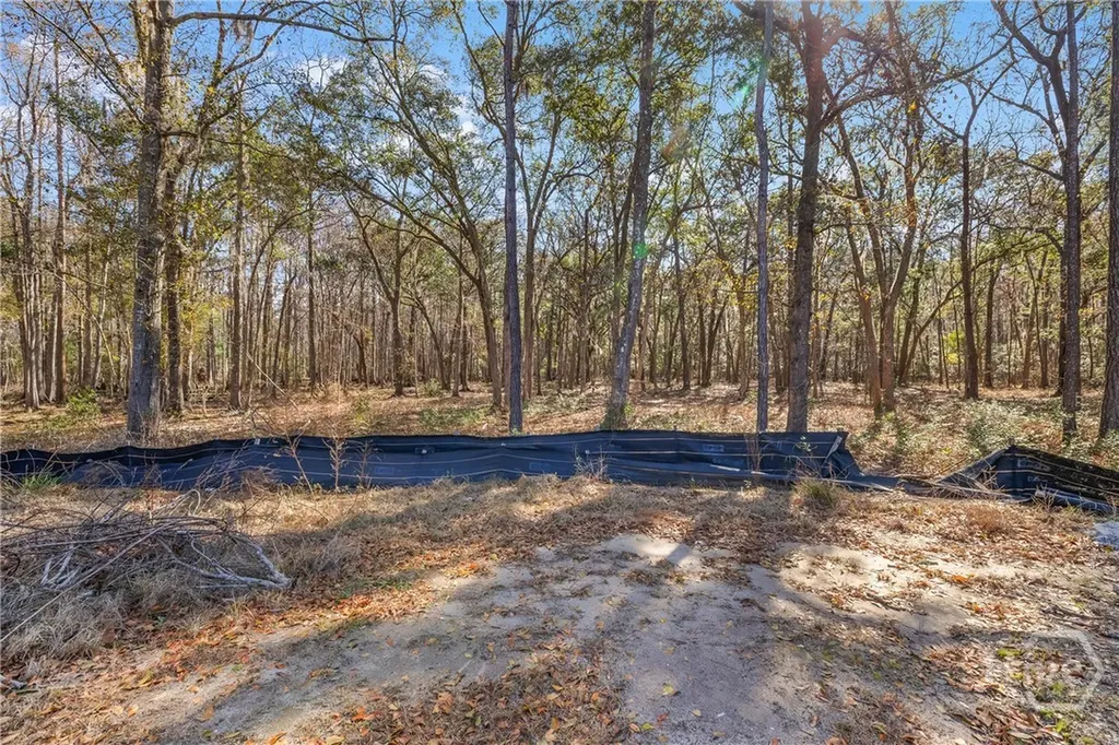 143 Wood Haven Lane Pooler GA 31322