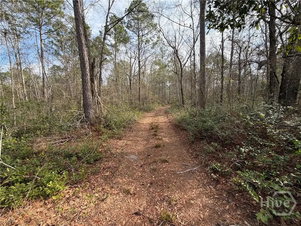 1836-A Highway 17 Guyton GA 31312