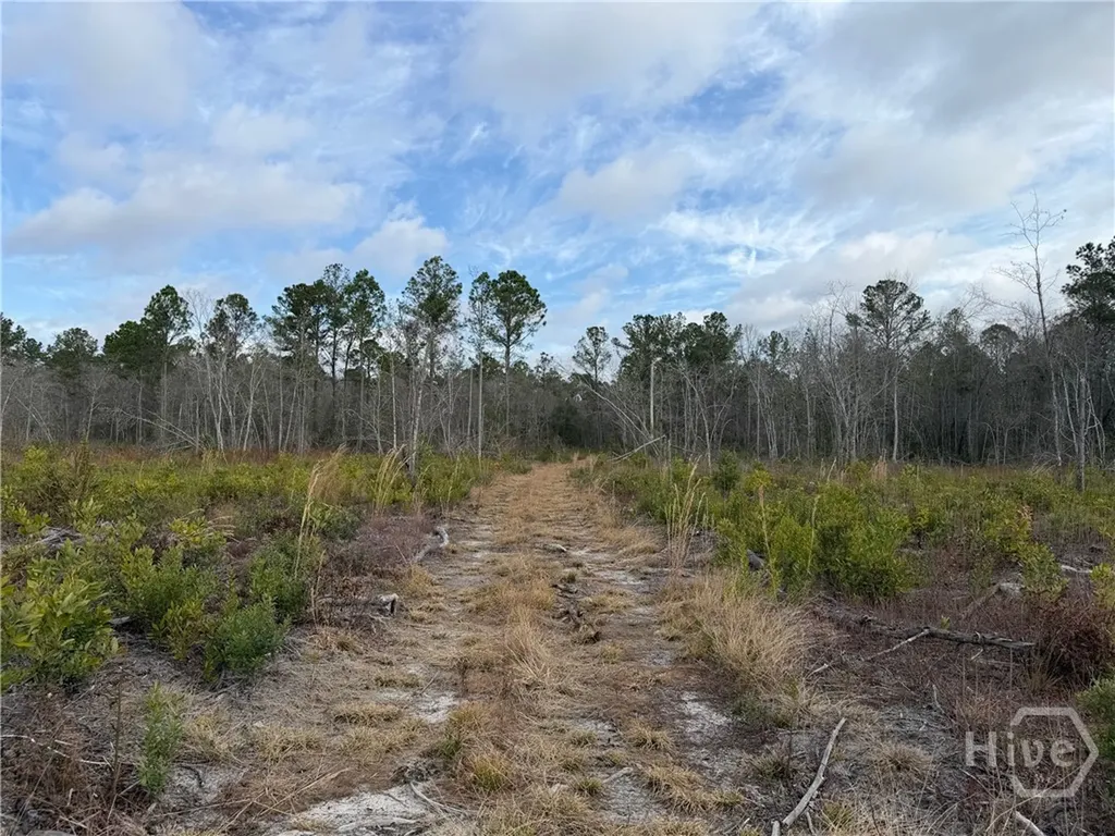 1836-A Highway 17 Guyton GA 31312